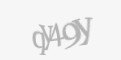 Защитный код