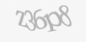 Защитный код