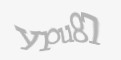 Защитный код